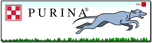 Purina Banner Ad image